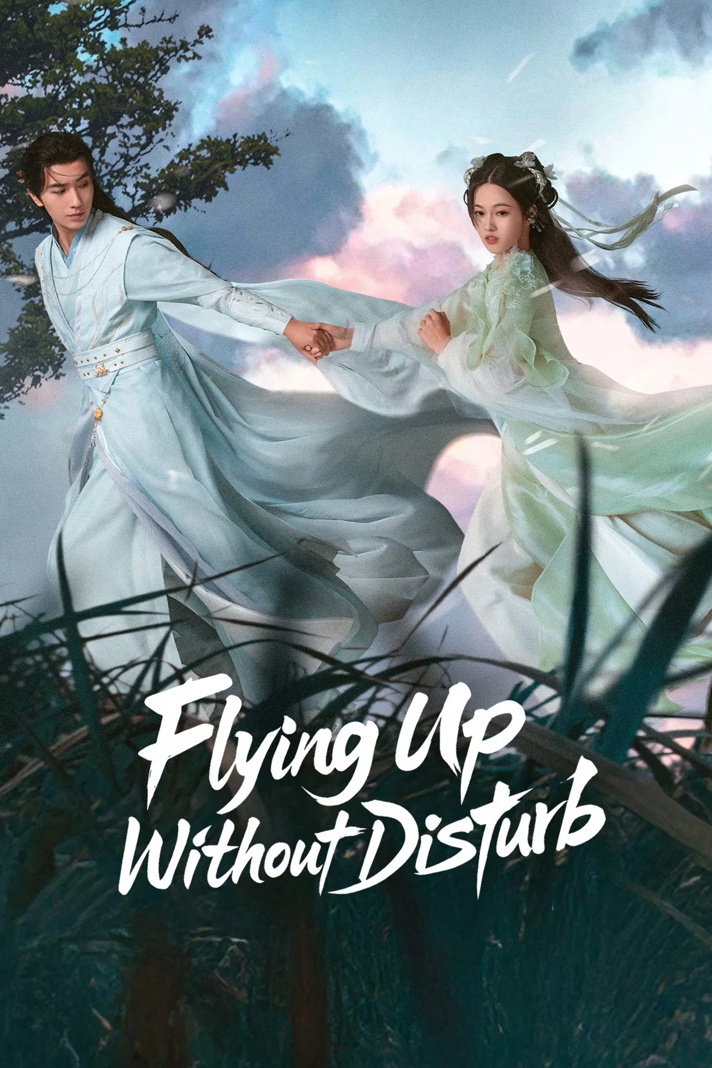 پرواز بی هیاهو (Flying up without Disturb)